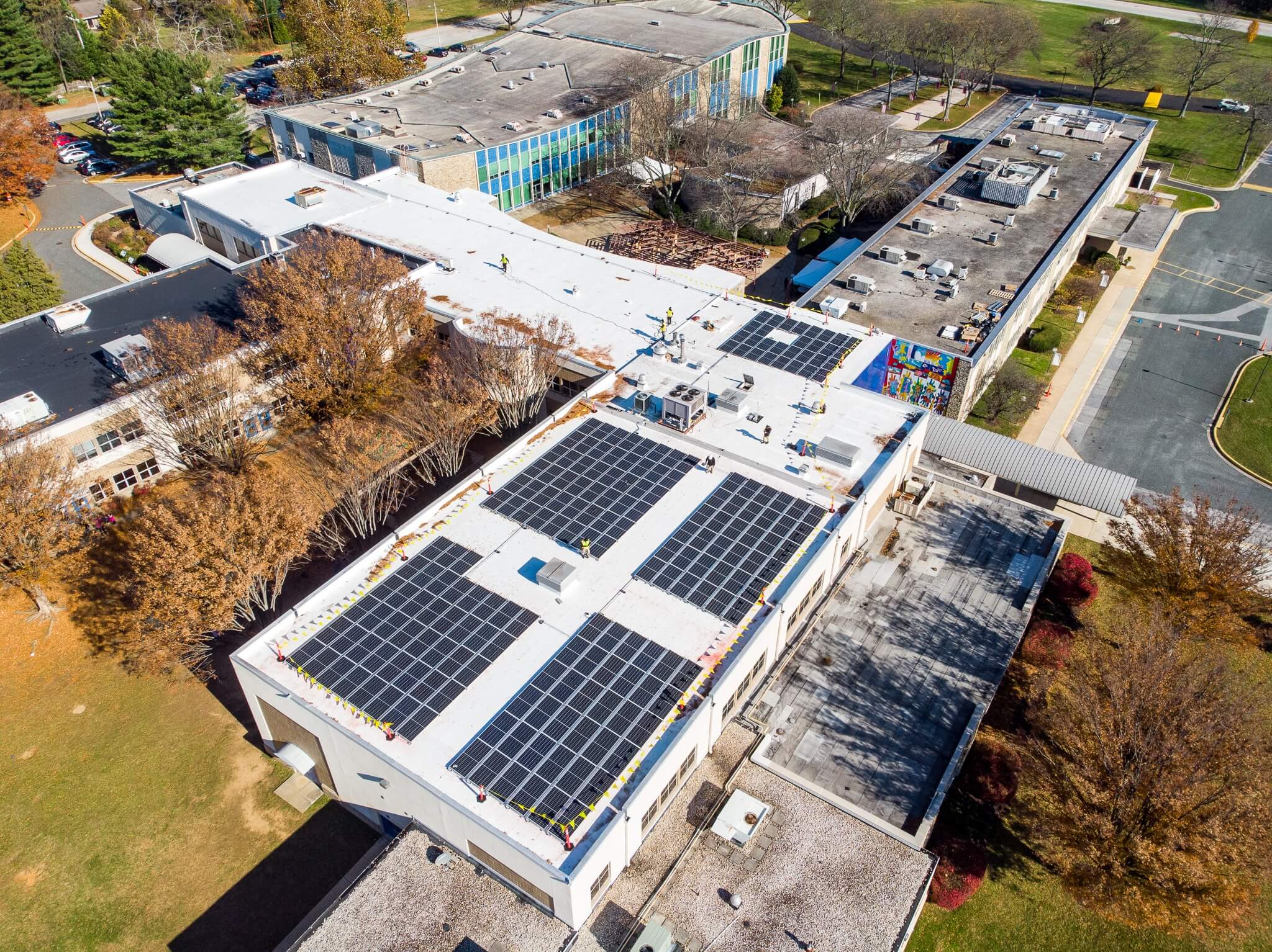 Meet Ali Sanders, Your Solar Consultant | Lumina Solar | Meet Ali ...